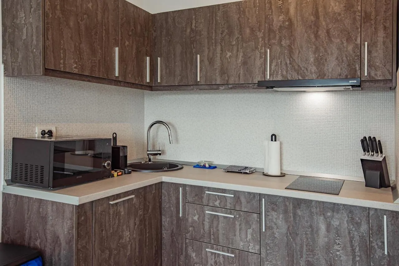 Cozy Penthousestudio Cityview W12 Бухарест 0*,